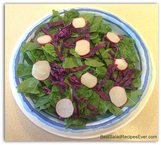 Layer of Radishes on Spinach