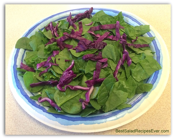 Red Cabbage on Spinach